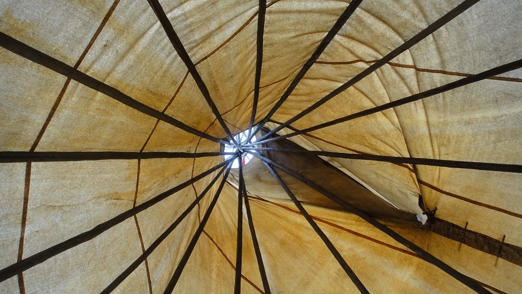 Tipi looking up