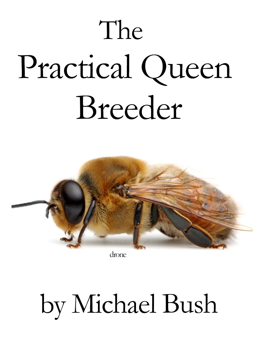 The Practical Queen Breeder: Beekeeping Naturally